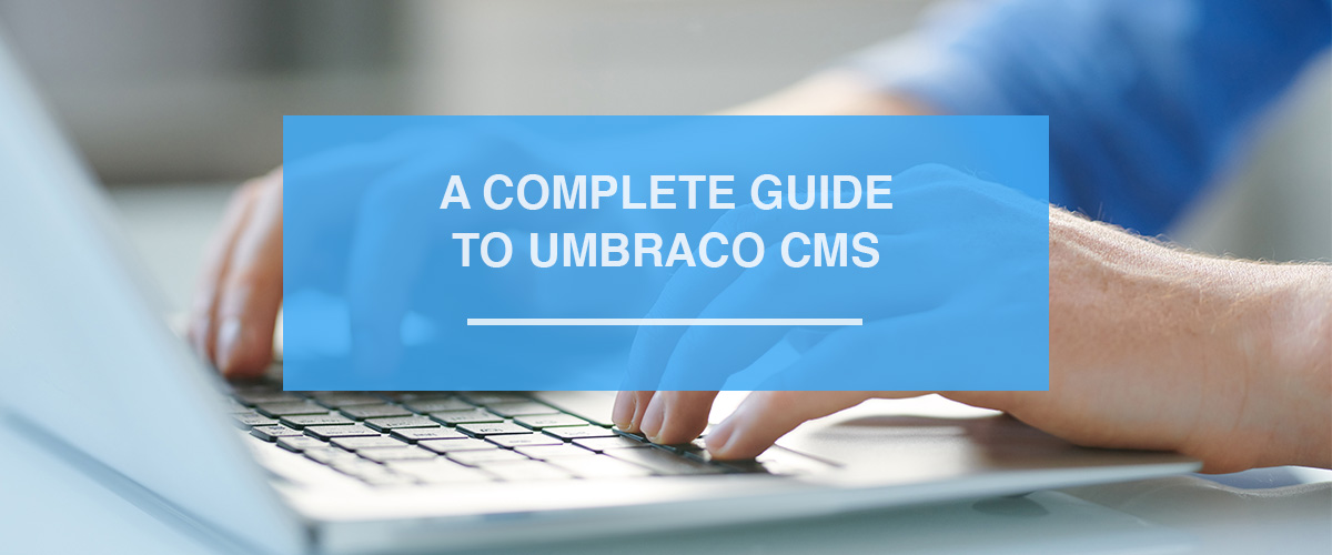 A Complete Guide To Umbraco CMS Carbon Six Digital